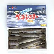 画像1: 生干しこまい LL １ｋｇ入 【２０尾前後】 (1)