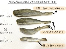 画像3: 生干しこまい Ｓ １ｋｇ入 【１１０尾前後】 (3)